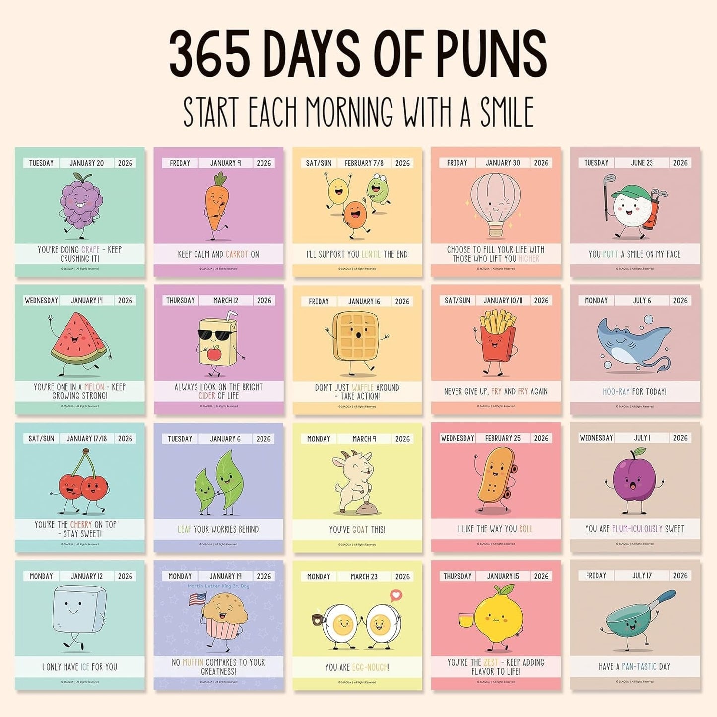 2026 Funny Pun Flip Calendar