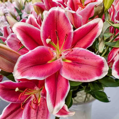 Lily Tree 🌷 – A Symphony of Scent and Beauty in Every Bloom 🎶
