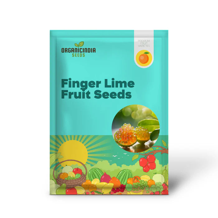 Finger Lime Seeds, High Quality Lime Fruits Seeds For Planting