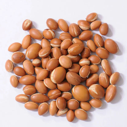 Moroccan Argan Tree seeds, Argan Tree seeds