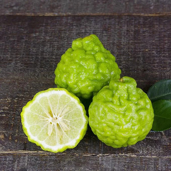 Bergamot Orange Seeds - Citrus Bergamia, Perennial Evergreen Edible And Ornamental Bonsai Outdoor Patio Fruit Tree Seeds