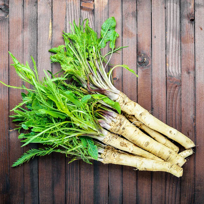 200 Pcs Horseradish Seeds | Armoracia Rusticana | Red Cloe Pepper Root Perennial Vegetable Seeds | GMO-Free | Ideal for Garden Containers & Outdoor Planting