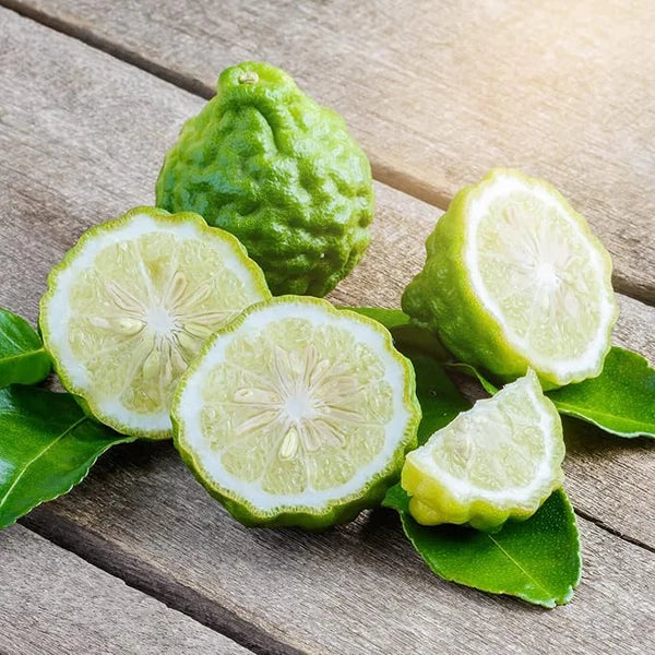 Bergamot Orange Seeds - Citrus Bergamia, Perennial Evergreen Edible And Ornamental Bonsai Outdoor Patio Fruit Tree Seeds
