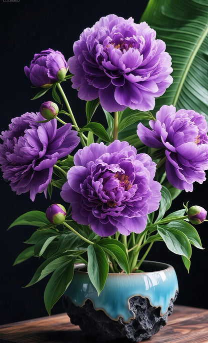 🌸🌱 Garden Peony Bulbs – Perennial 🌞🏡