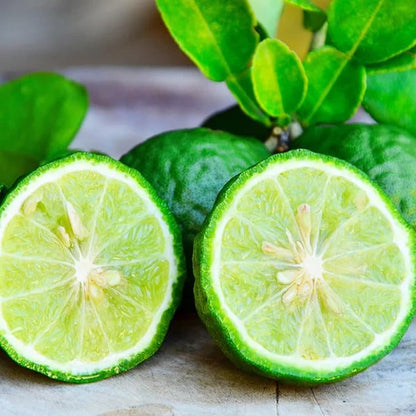 Bergamot Orange Seeds - Citrus Bergamia, Perennial Evergreen Edible And Ornamental Bonsai Outdoor Patio Fruit Tree Seeds