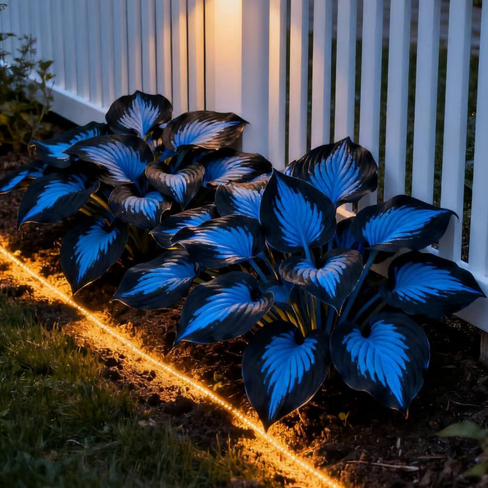 💥2026 Hot Sale 🌌Hosta Seeds Perennial Shade Plant for Garden